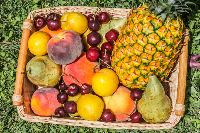 why-plant-diversity-matters-for-our-health