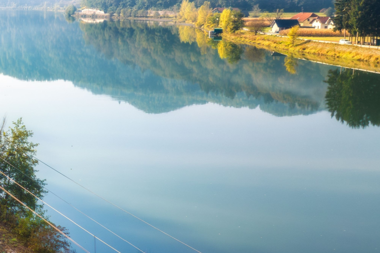 amazon-catfish’s-7,000-mile-journey-at-risk