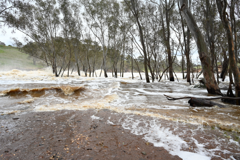 japan-warns-of-larger-quake-after-7.7-tremor